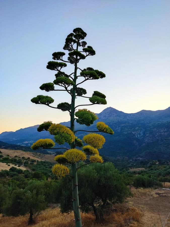 Casa El Canton Jimera de Líbar المظهر الخارجي الصورة