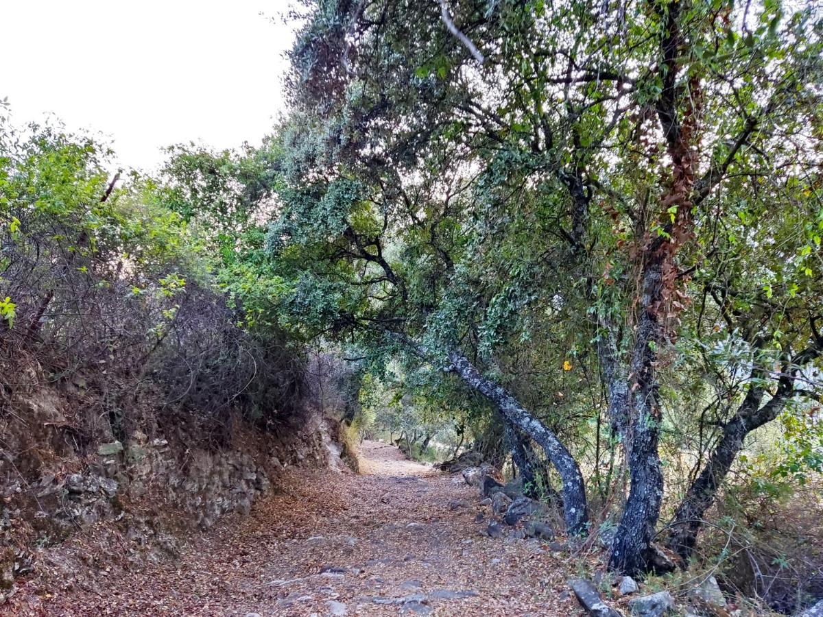 Casa El Canton Jimera de Líbar المظهر الخارجي الصورة